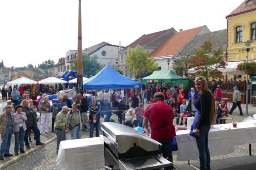 P1030321
