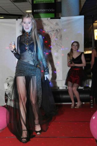IMG 4617